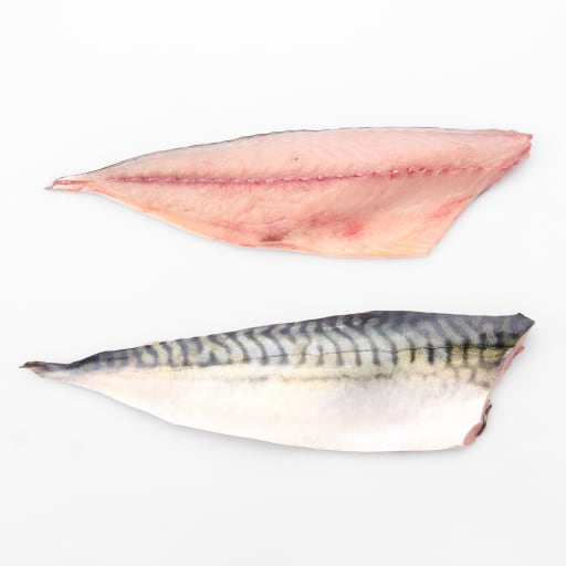 Makrillfilé färsk