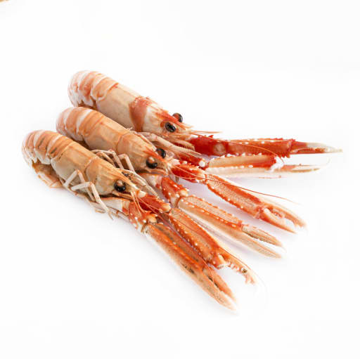 Havskräftor trål 11/15 kokta MSC