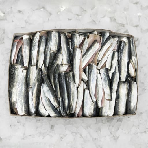 Sillflundrafile (Strömming)