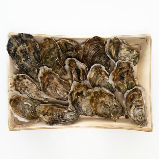 Ostron de Bouzigues, 24 st, strl 3