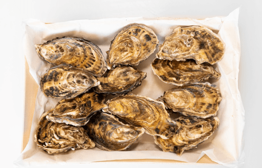 Ostron Pearls of Ireland