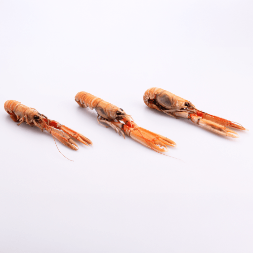 Havskräftor 8-12 råa