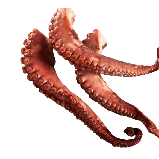 Bläckfiskarmar kokta