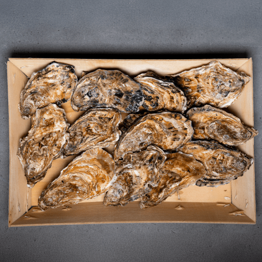 Ostron Alienor 3:or -12st