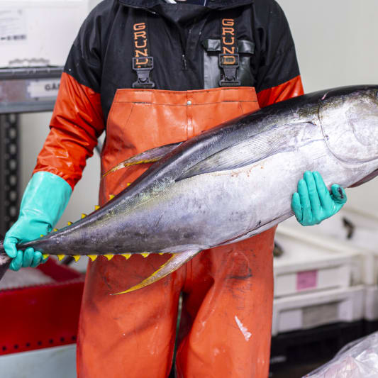 Köp din tonfisk här