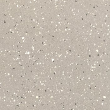 Earthtech Desert Flakes 60x120 Polert