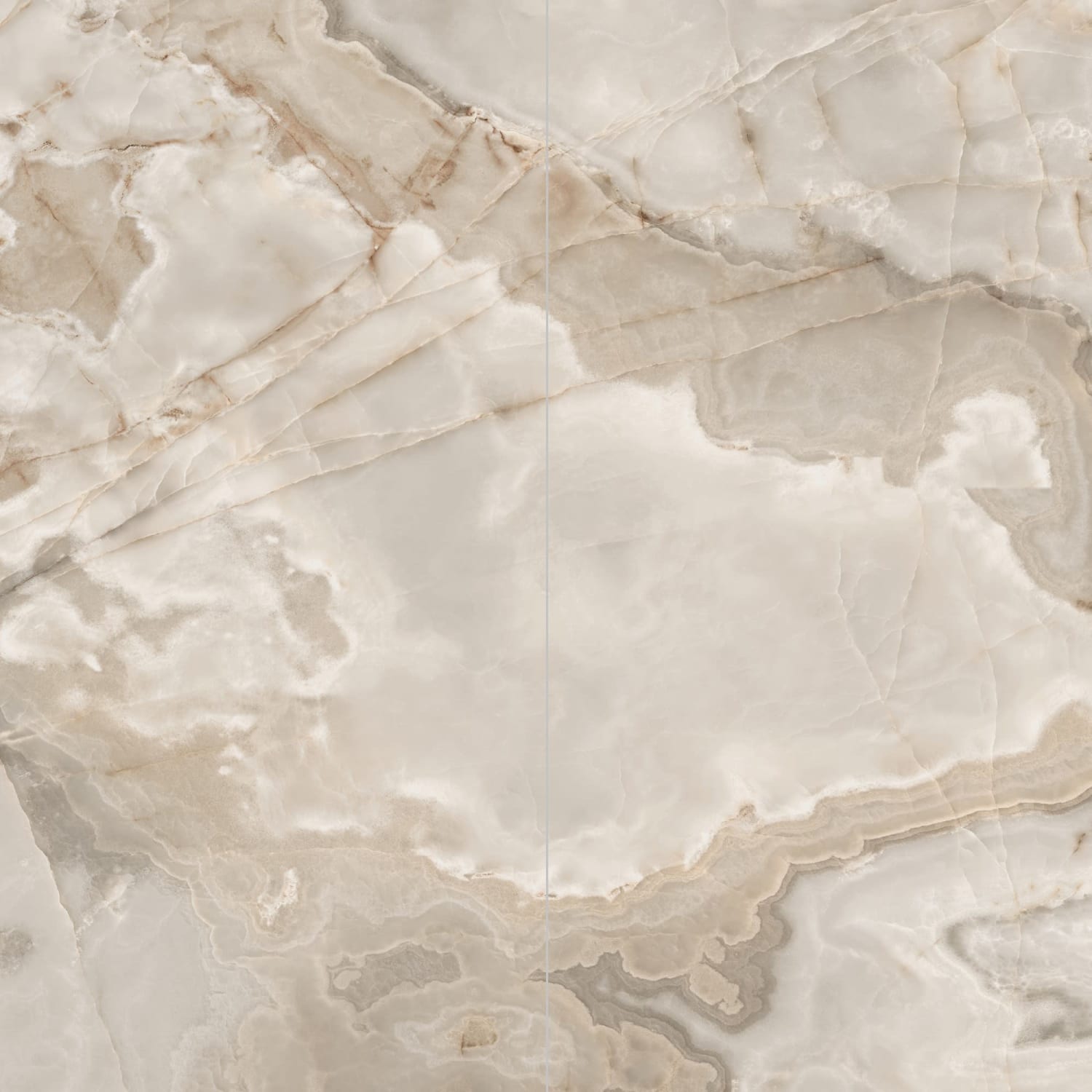 Reves De Rex Noisette 120x240 Matt Flis