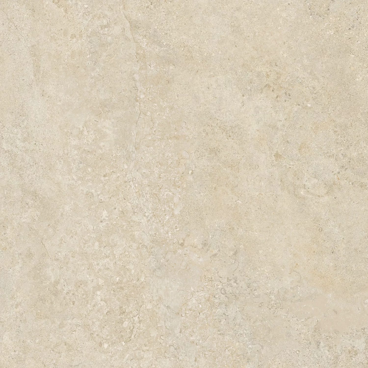 Casual Life Champagne Matt 80x80 Fliser