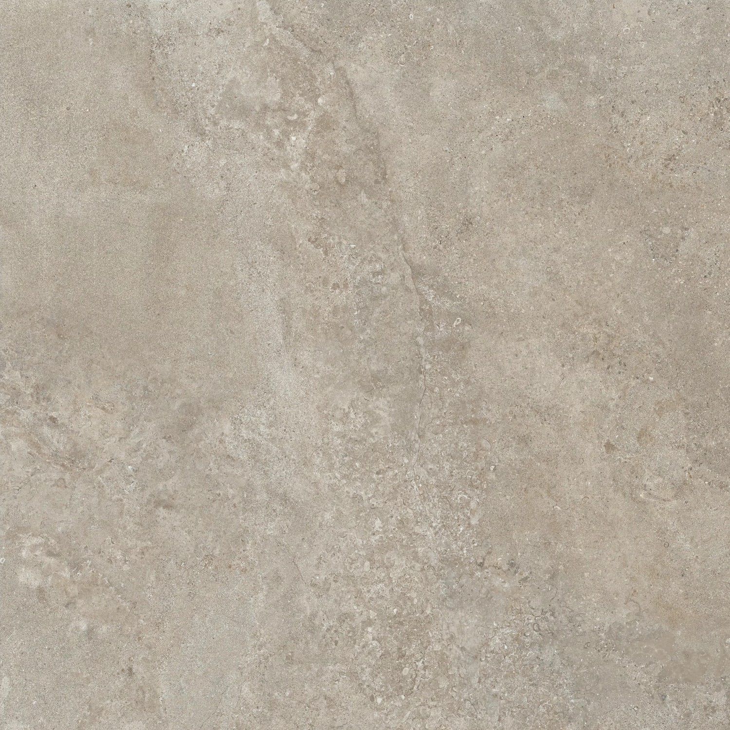 Casual Life Dove Grey Matt 120x120 Fliser