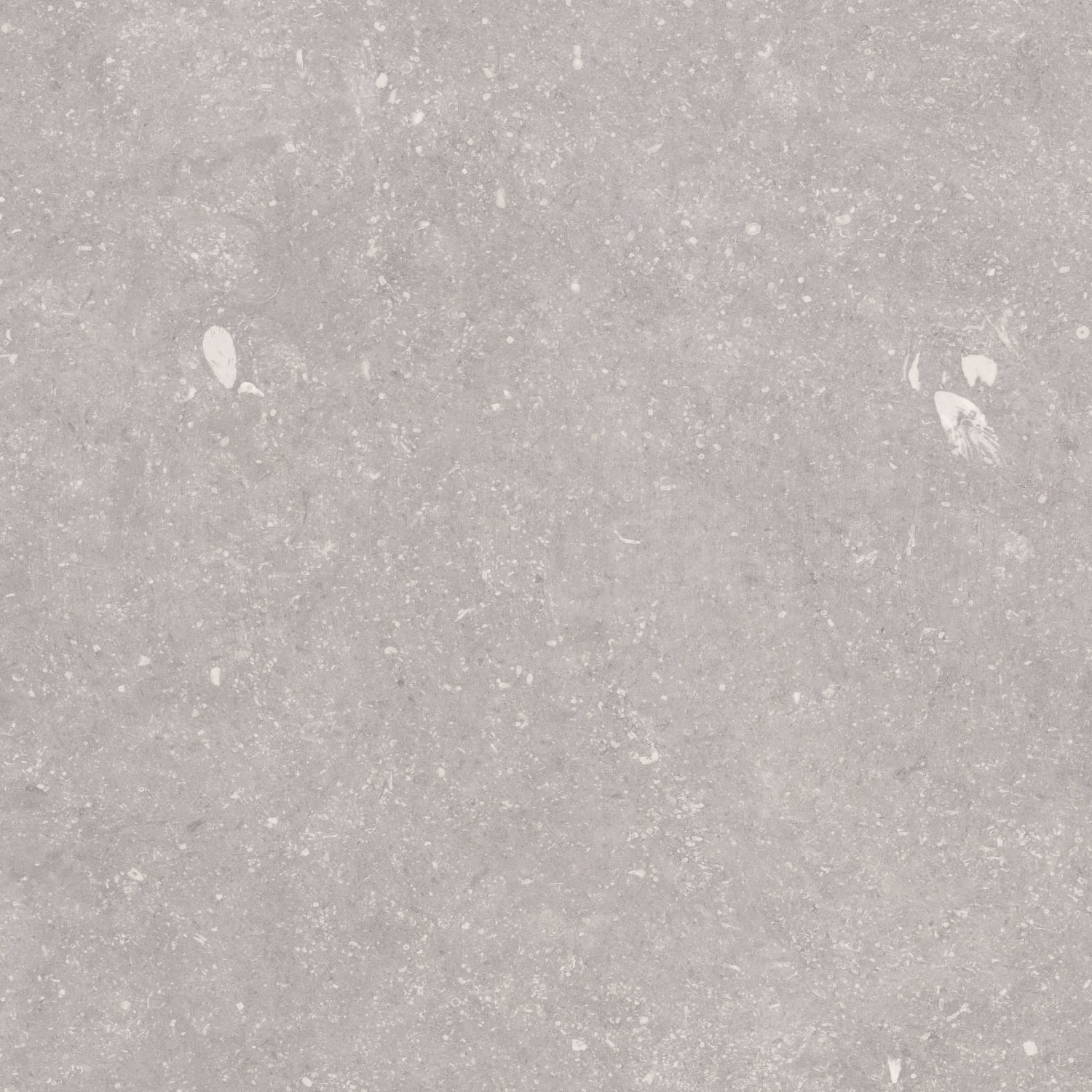 Norlith Shore Taupe 60x60 Matt Rektifiserte