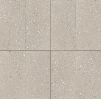 Earthtech Desert Flakes 60x120 Polert