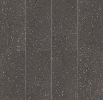 Earthtech Carbon Flakes 60x120 flis