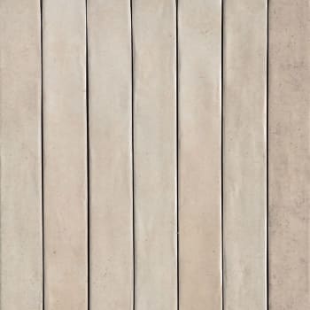 Savoir Faire 4,8x45 Clay Blank Flis