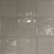 Typic Dust 10x10 Fliser