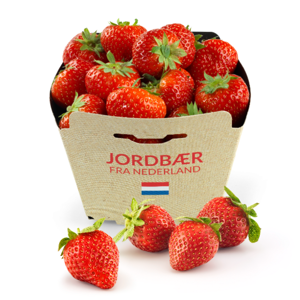 Jordbær