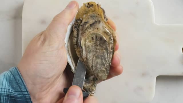 Åpne østersene med østerskniv.