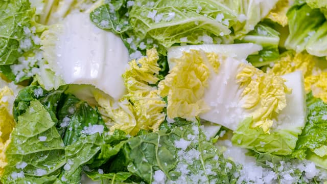 Legg kålen i en bolle og ha på salt. Masser inn saltet, og legg en tallerken oppå kålen. La kålen ligge i minst 2 timer på benken slik at den slipper vann. Skyll kålen og klem ut det meste av vannet.