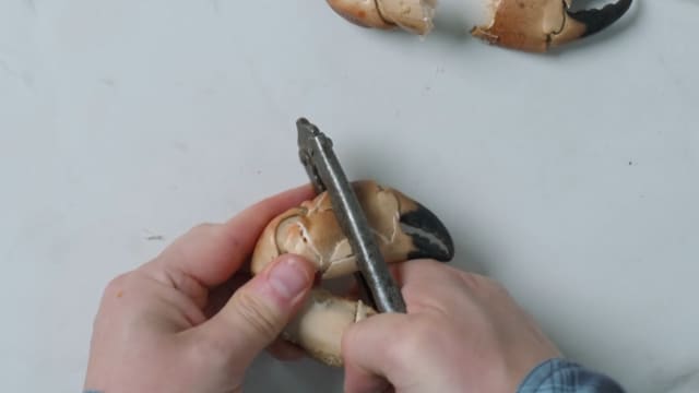 **Krabbeklør:** Knus krabbeklørne med en nøtteknekker eller liknende. Fjern skallet.