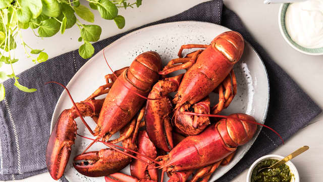 Rens hummeren, og ta ut alt det rene kjøttet i hale og klør.