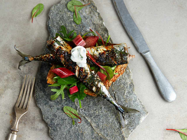 Makrell blings med syltet rabarbra