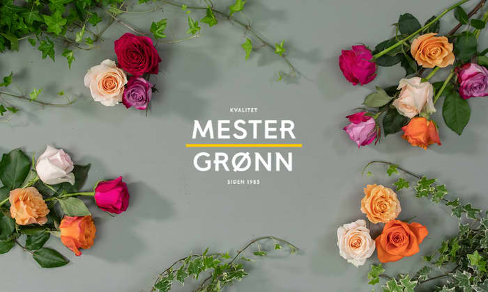 Friske og fargerike roser som ligger på et bord med Mester Grønn logo i midten