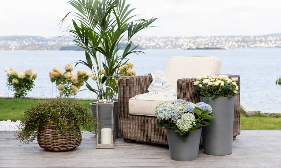 Hyggelig veranda, men vakker utsikt og flotte planter