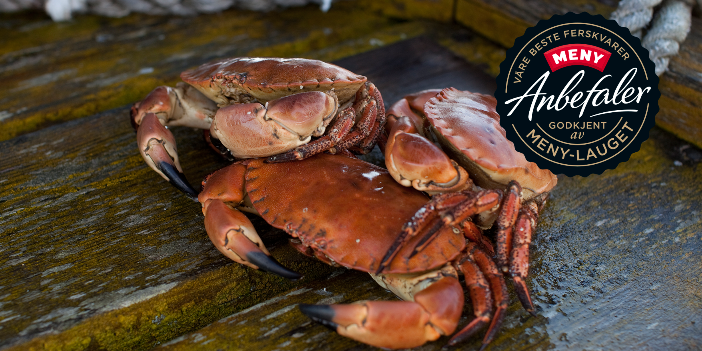 Krabbe fra Hitra | Meny.no