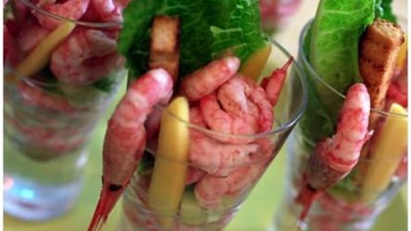Rekecocktail Rekecocktail