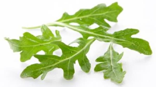 Rucculapesto Rucculapesto