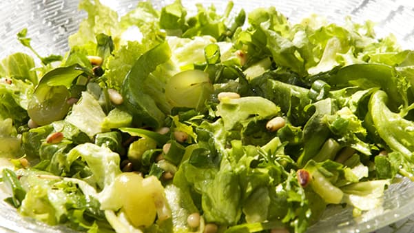 Sprek grønn salat Sprek grønn salat