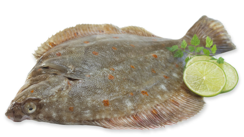 Rødspette | Jacobs