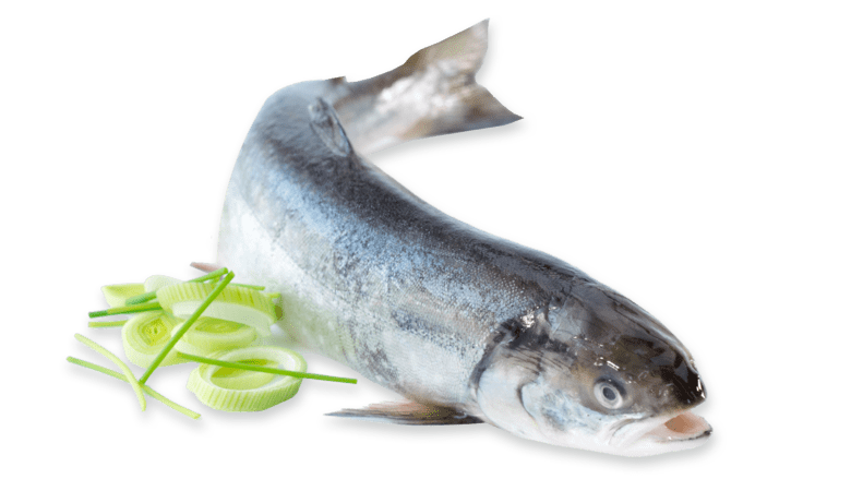 godfisk.no