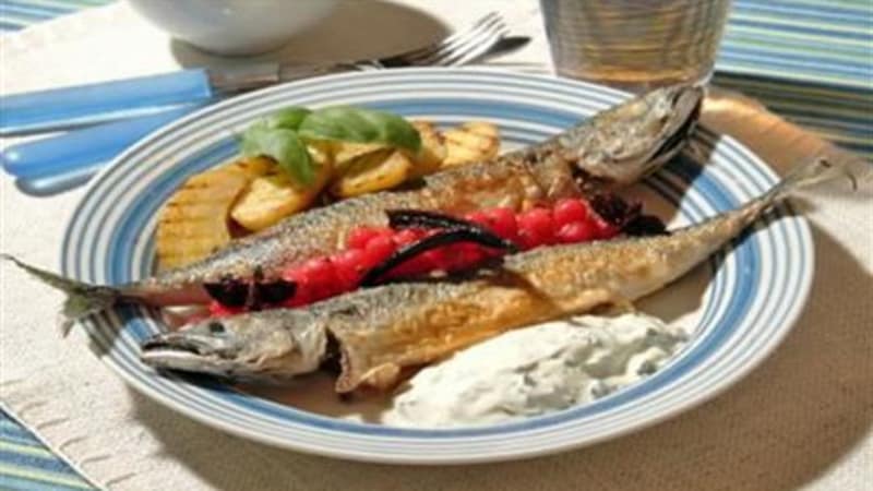 Stekt makrell med grillet potetsalat