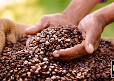 Rettferdig handel med Fairtrade