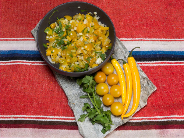 Gul salsa Gul salsa