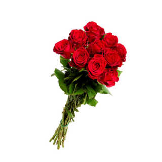 Roser Rosa - 10pk 50cm