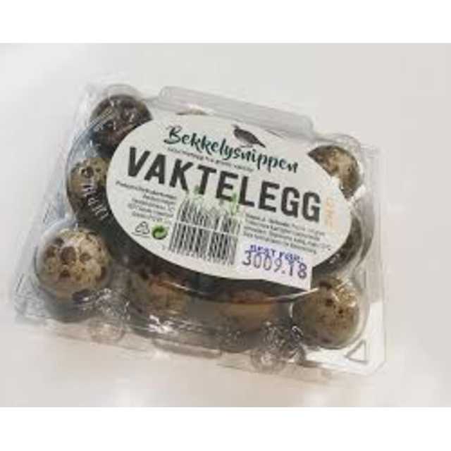 Vaktelegg