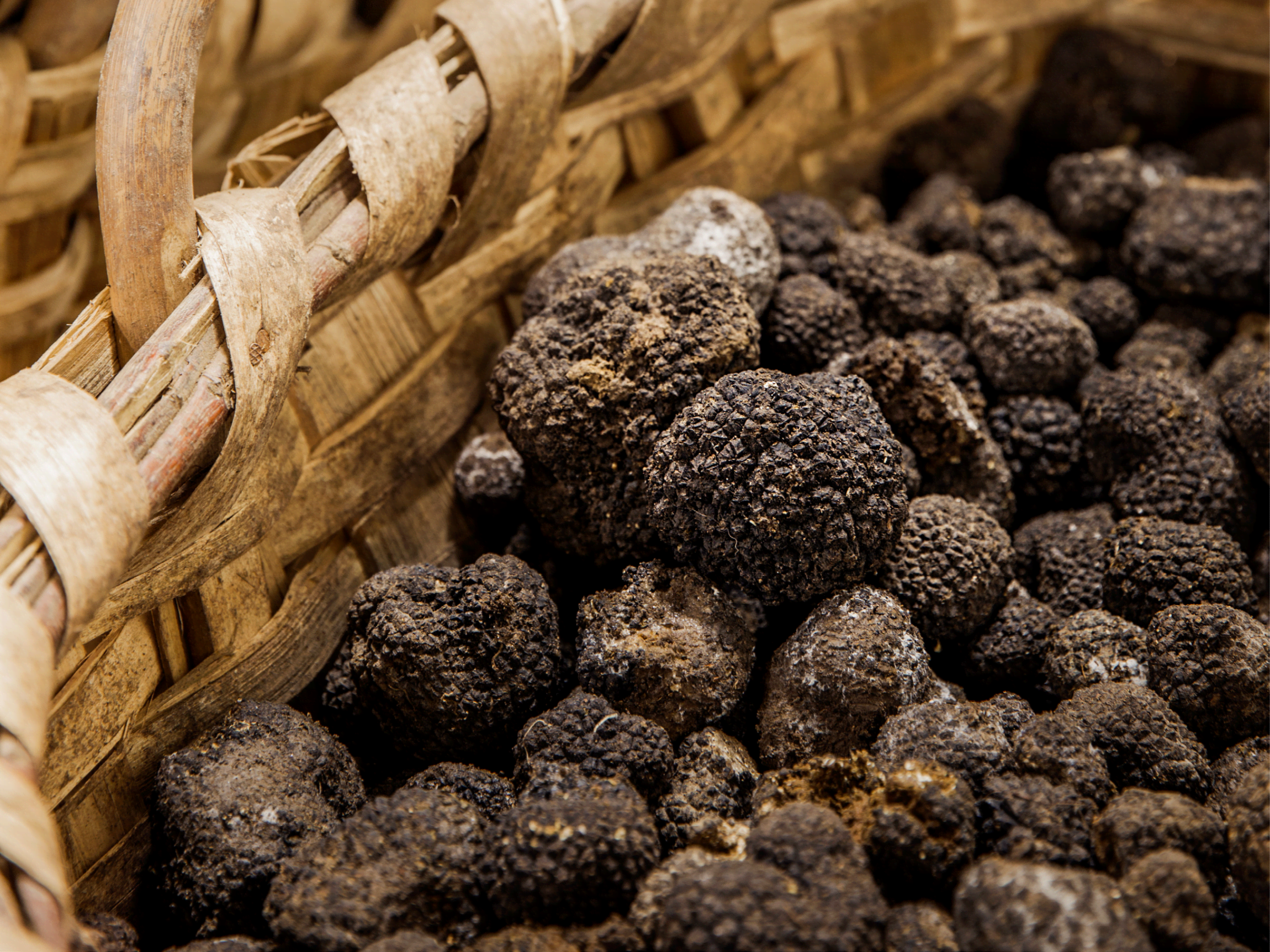 Hva er trøfler og hvordan brukes det? | Meny.no