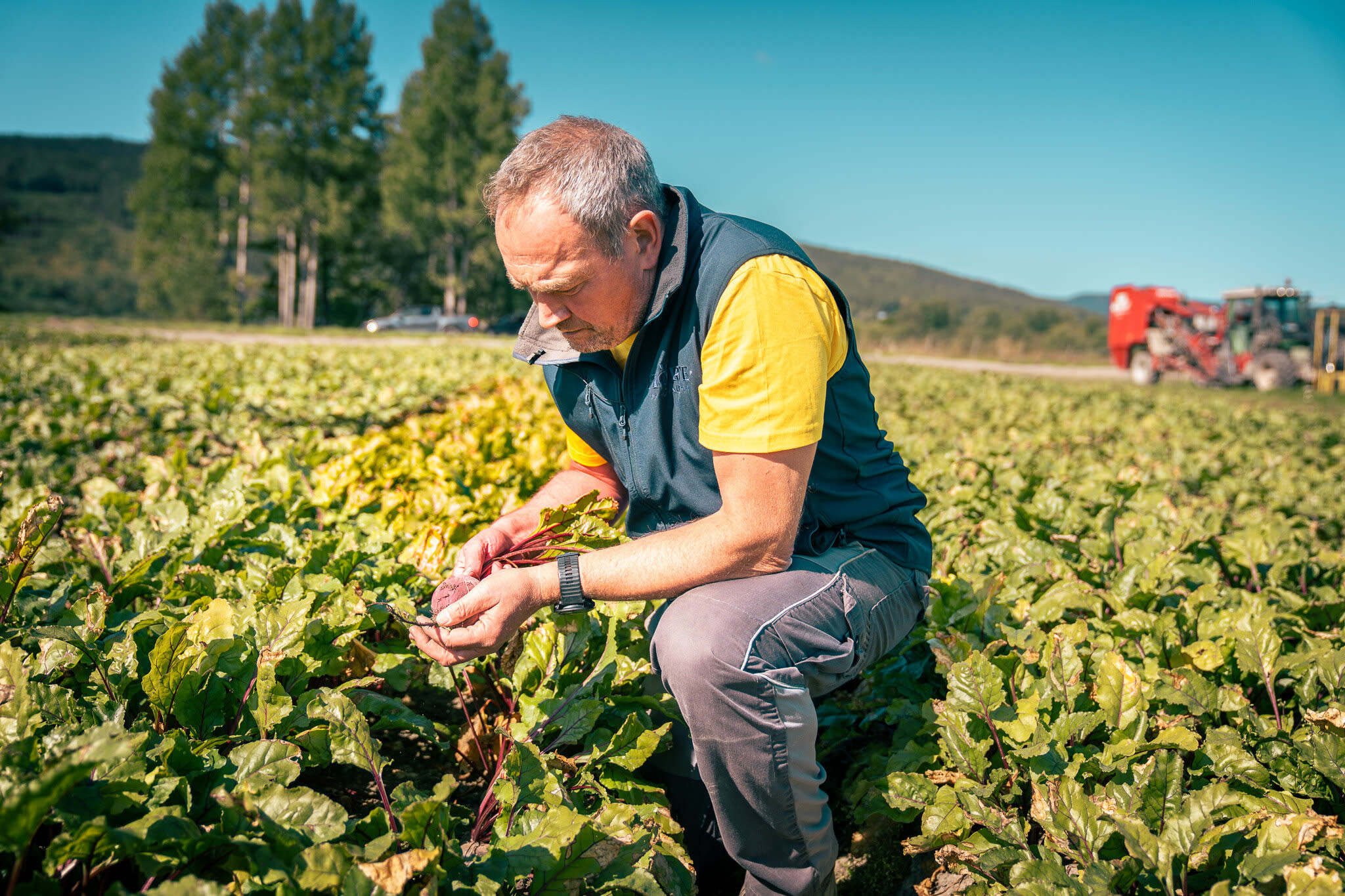 Anders Hørte åker.jpg