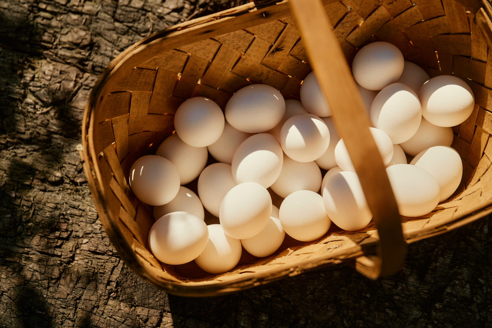 Vilje egg - toppbilde.jpg