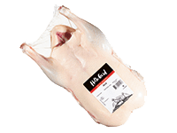 Hel and fra Holte gård.png