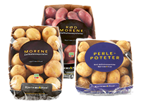 Bjertnæs og Hoel poteter.png