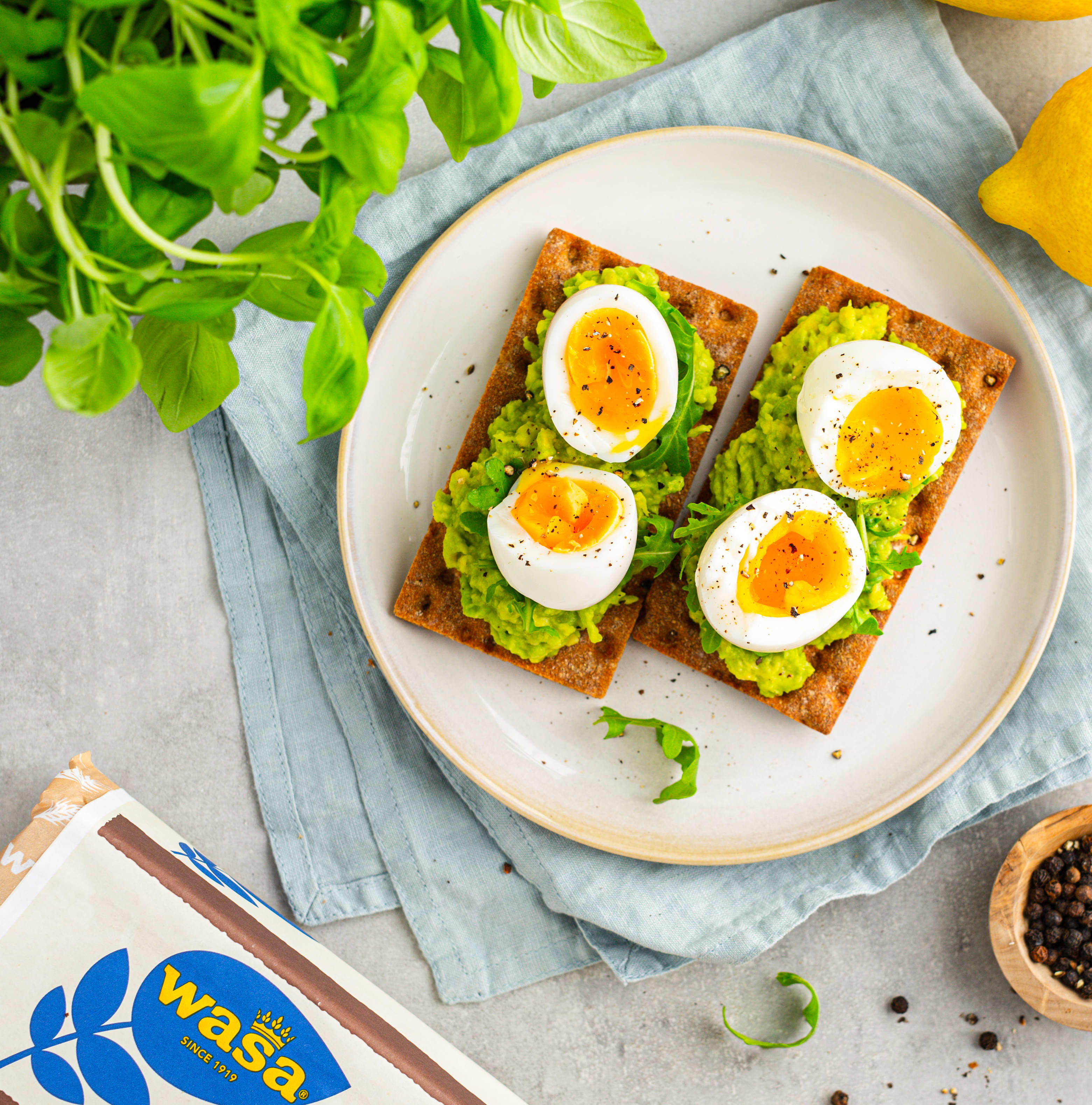 KIWI - Wasa-7154.jpg