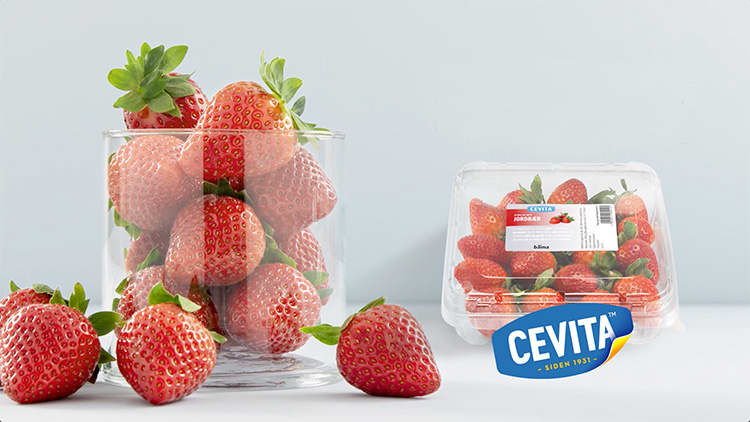 Jordbærene fra Cevita er det nærmeste vi kommer "norsk" smak.