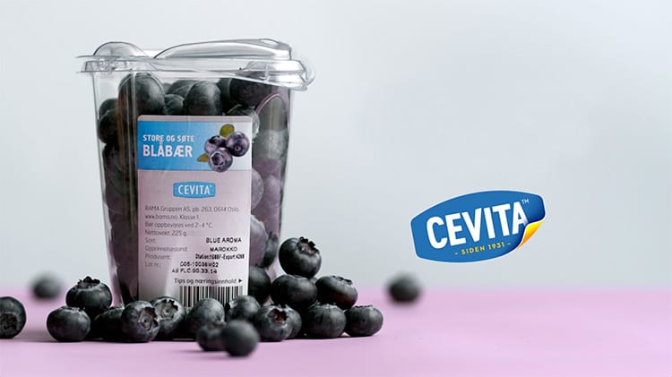 Blåbær er rike på fiber og har i tillegg et høyt antioksidantnivå