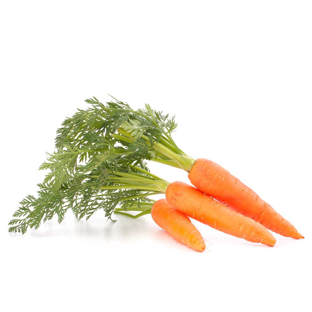 Visste du dette om gulrot? KIWI