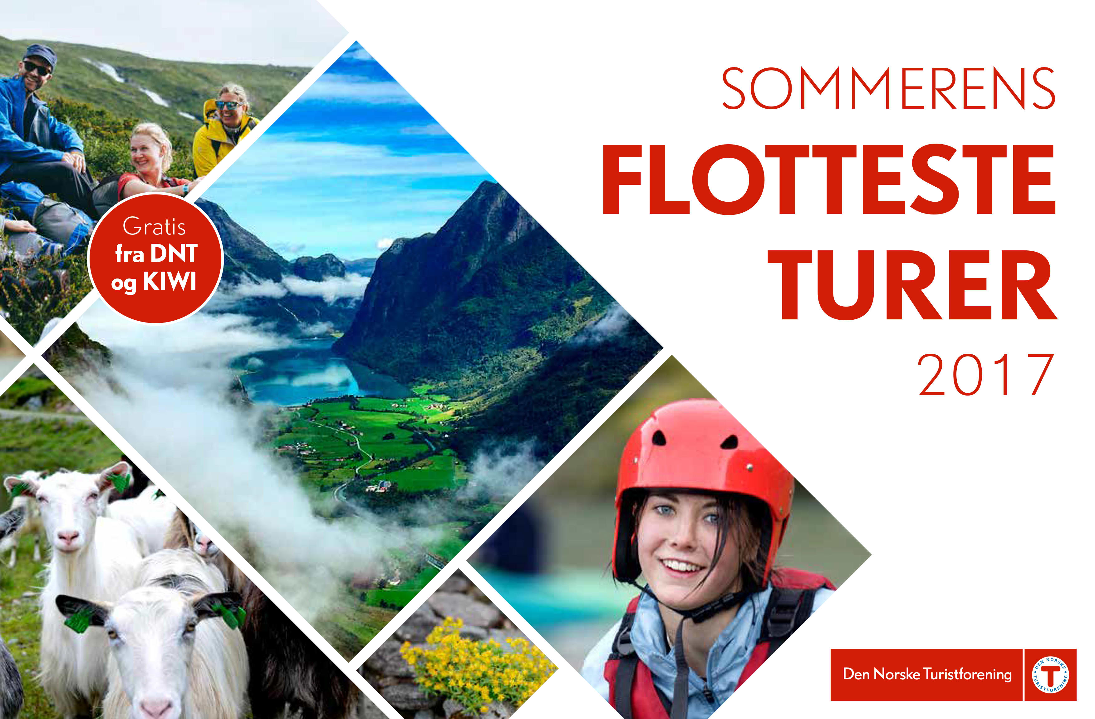 Ta med deg katalogen hjem neste gang du handler på KIWI for en oversikt over sommerens fineste turer.