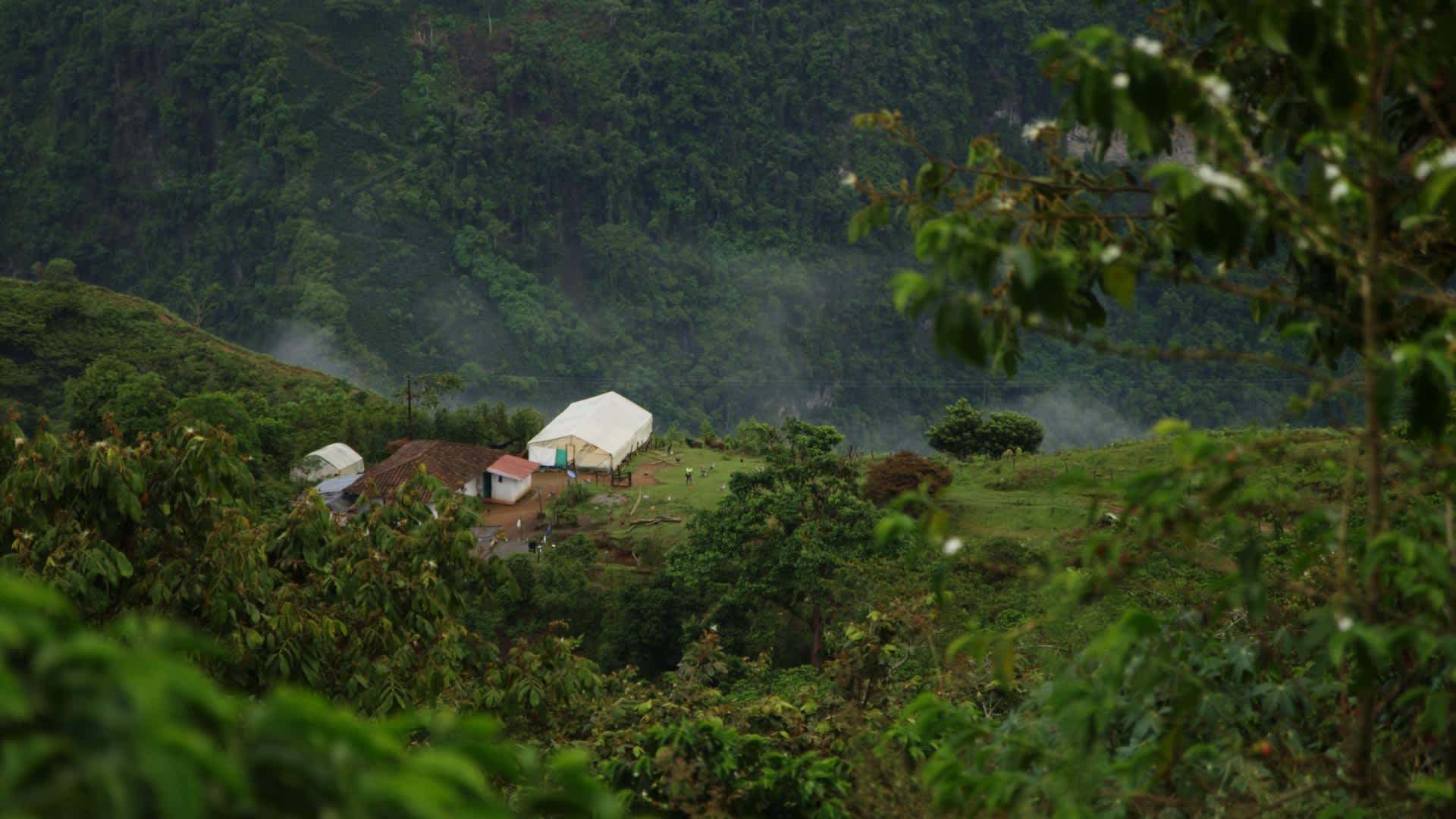 Colombiansk kaffefarm.jpg