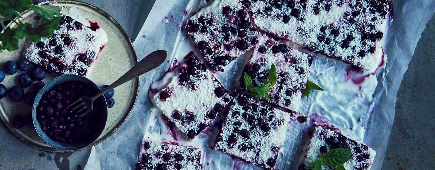 Frossen yoghurt med blåbær og kokos