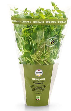 Oregano 9cm Potte Gartner